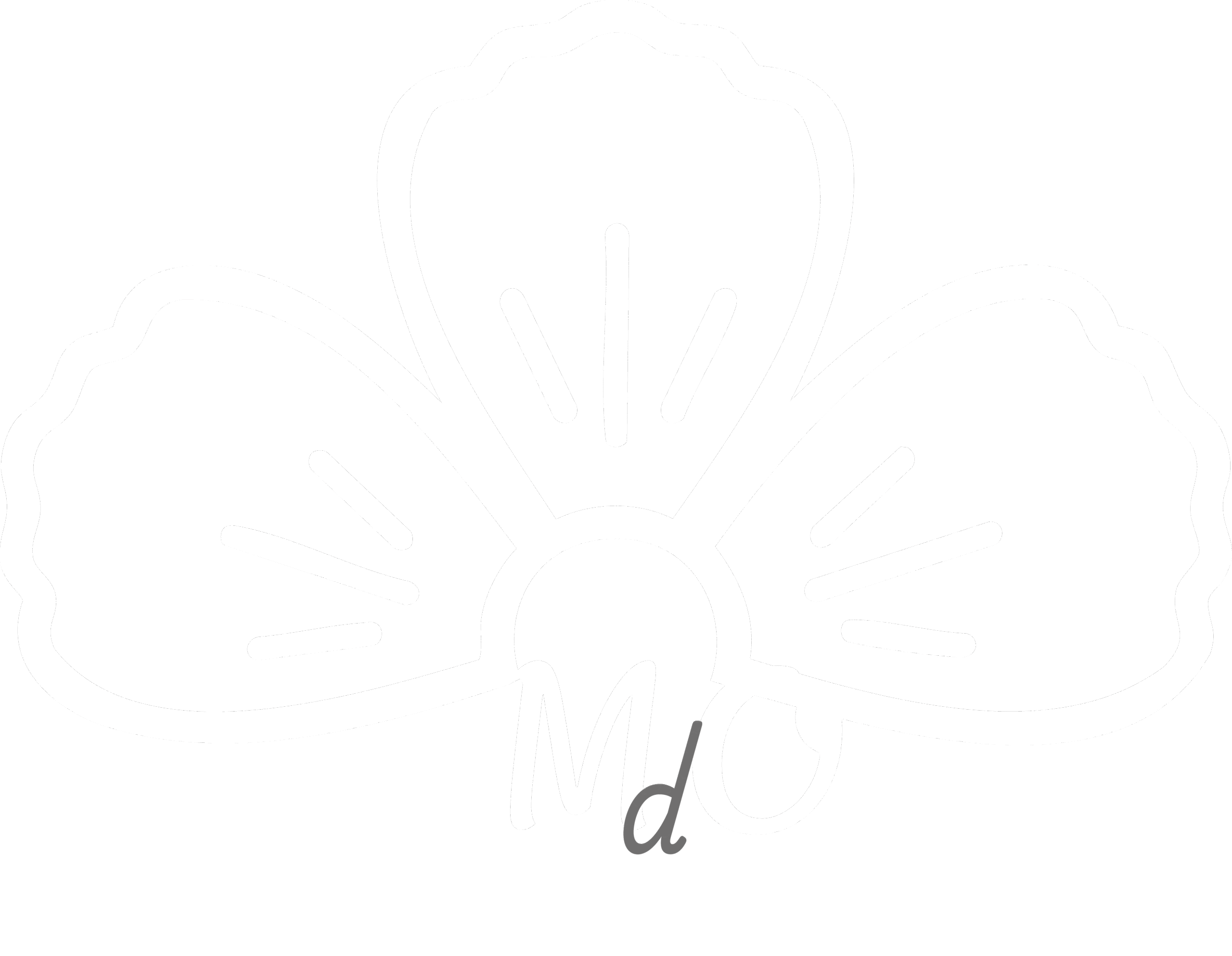 logoWeb
